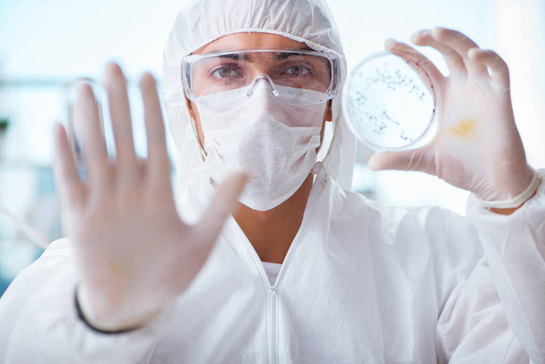 Médico trabajando en virus en laboratorio médico - Foto, Imagen