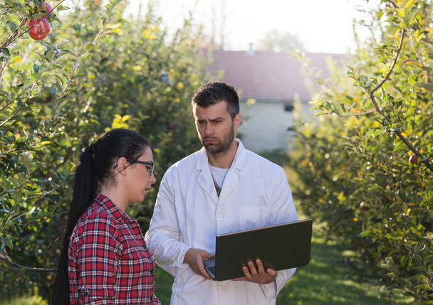 Agronomist and farmer in apple orchard - Фото, зображення