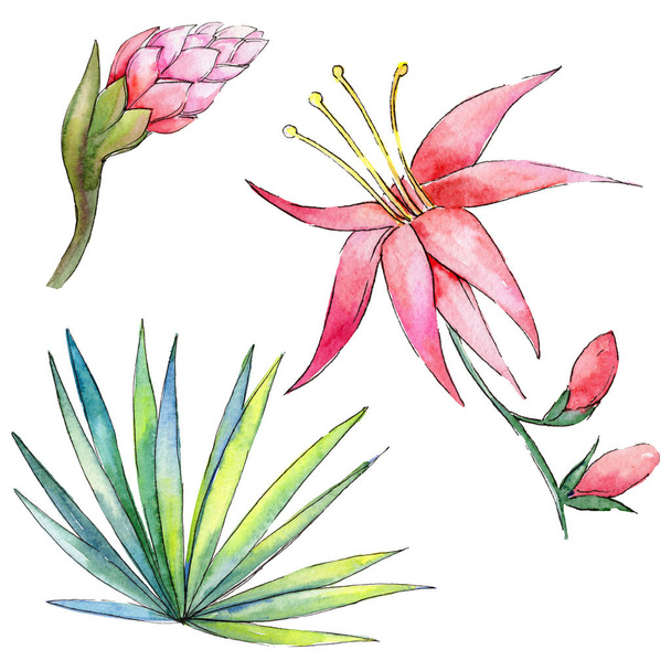 Tropical plants in a watercolor style isolated. - Zdjęcie, obraz