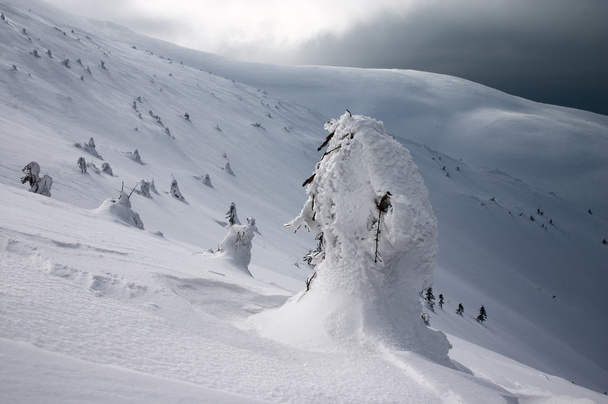 zord téli táj - Fotó, kép