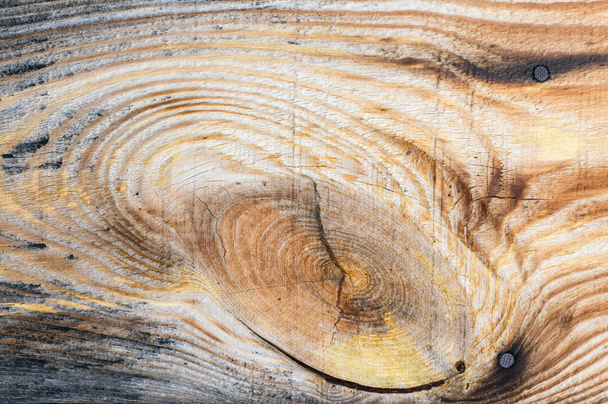 Texture of a wooden board with a knot - Foto, imagen