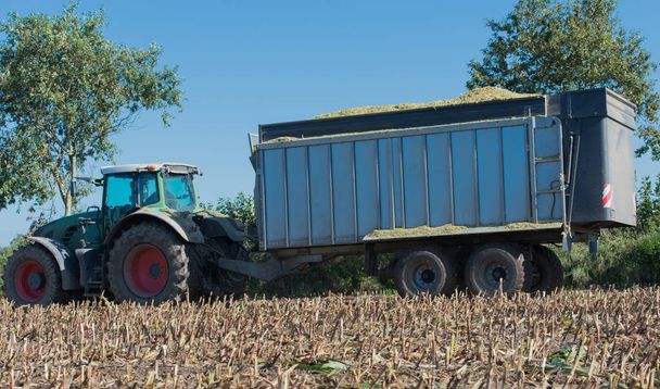 Corn harvest, corn forage harvester in action, harvest truck with tractor - Zdjęcie, obraz