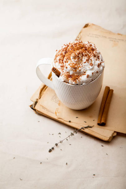 Cup of cocoa with whipped cream - Foto, Imagem