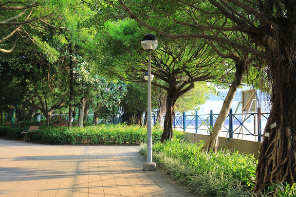 Tsuen Wan Riviera Park at Tsuen Wan  - Zdjęcie, obraz