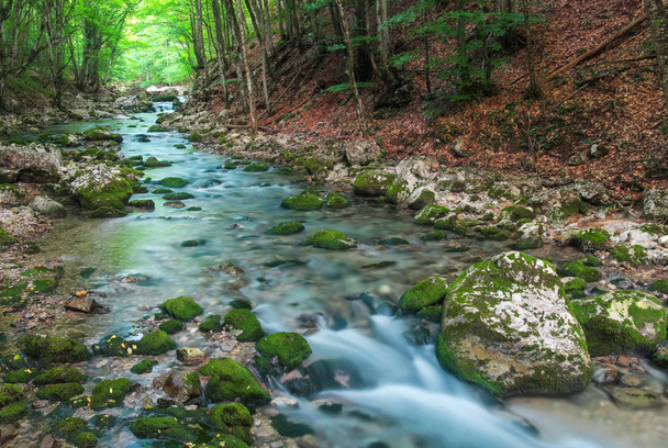 Mountain river in forest and mountain terrain. Crimea, the Grand - Photo, Image