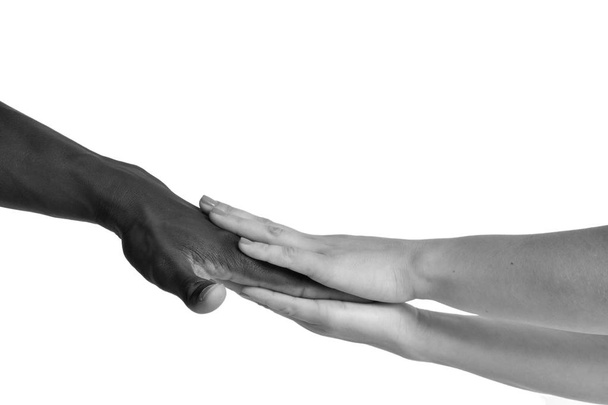 Une main caucasienne et une main africaine sur fond blanc
 - Photo, image