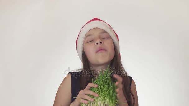 Güzel yaramaz kız genç bir iştahla Noel Baba şapkalı bir filiz yulaf üzerinde beyaz arka plan stok görüntüleri video yiyor.. - Video, Çekim