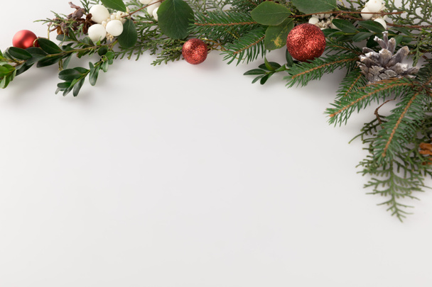 christmas fir branch - Photo, Image