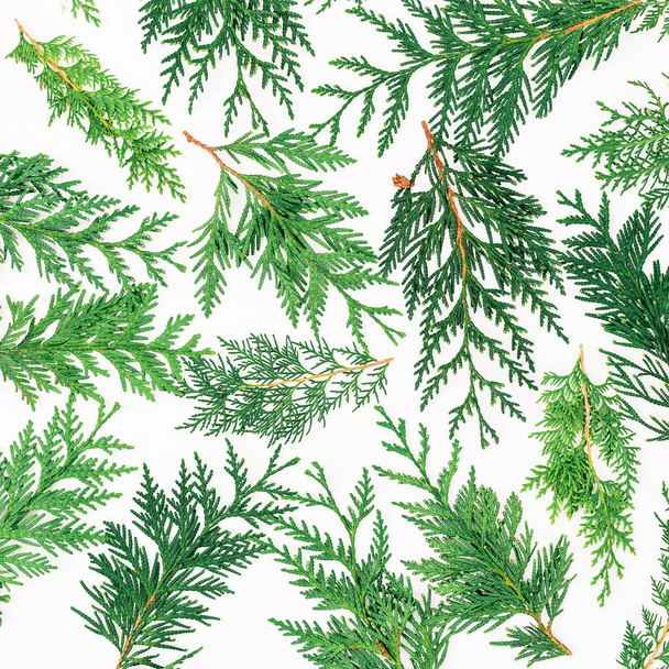 Winter pattern of Christmas tree - Foto, Imagem