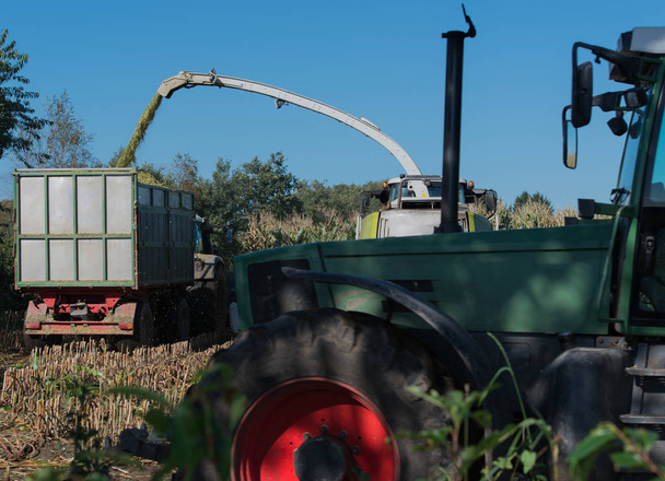 Corn harvest, corn forage harvester in action, harvest truck with tractor - Foto, Imagen