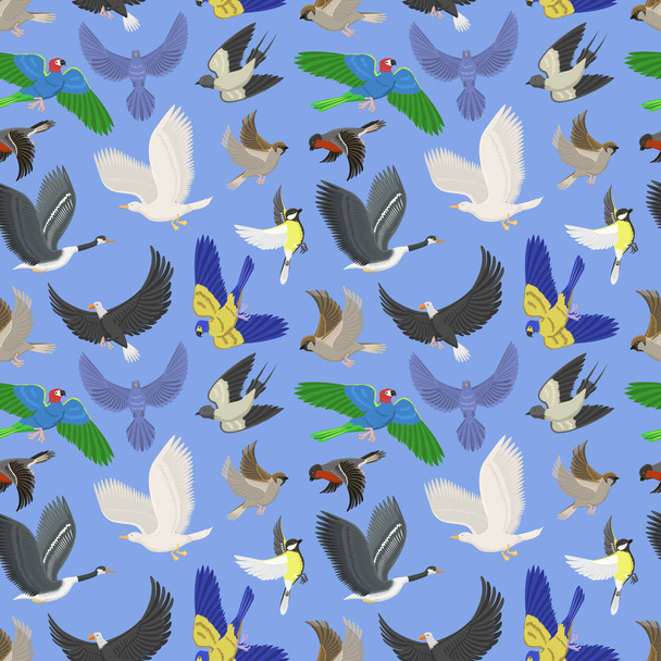 Ensemble de différents oiseaux volants sauvages aile sans couture motif fond
 - Vecteur, image