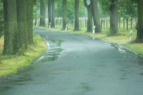 Мокрая дорога после дождя
 - Фото, изображение