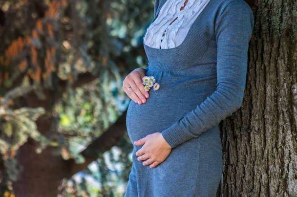 Belle jeune femme enceinte heureuse séjournant dans le parc d'automne
 - Photo, image
