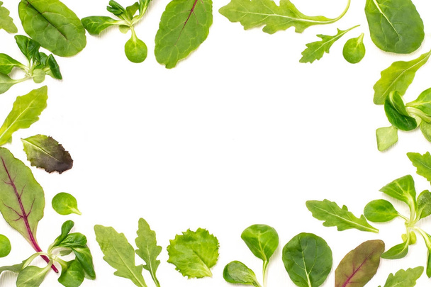 Frame of different salad leaves on white background  - Photo, Image