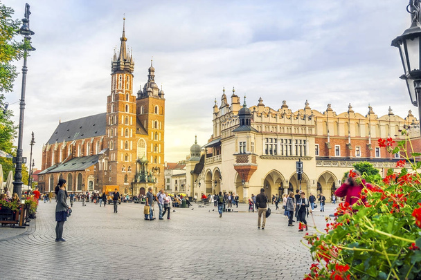 Kościół Mariacki i Sukiennice przez zachód, Kraków, Polska - Zdjęcie, obraz