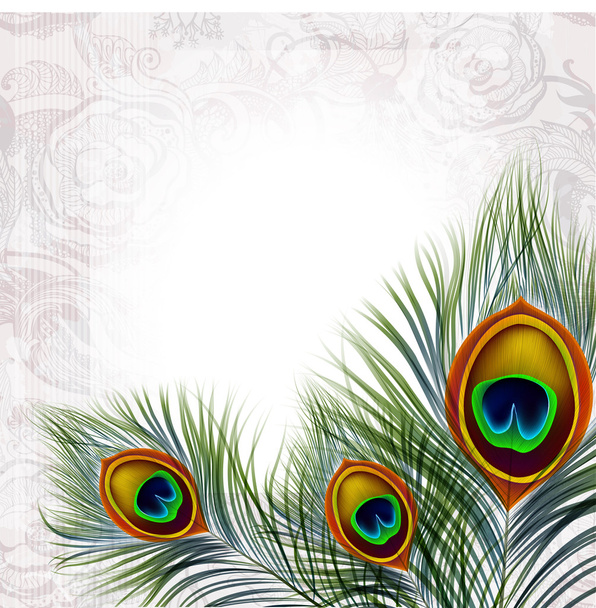 Beautiful vector peacock feathers - Вектор,изображение