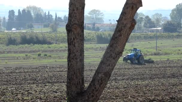 Трактор готовит почву для посева
 - Кадры, видео