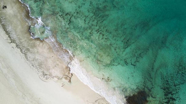 aerial view of beach and reef - Foto, immagini