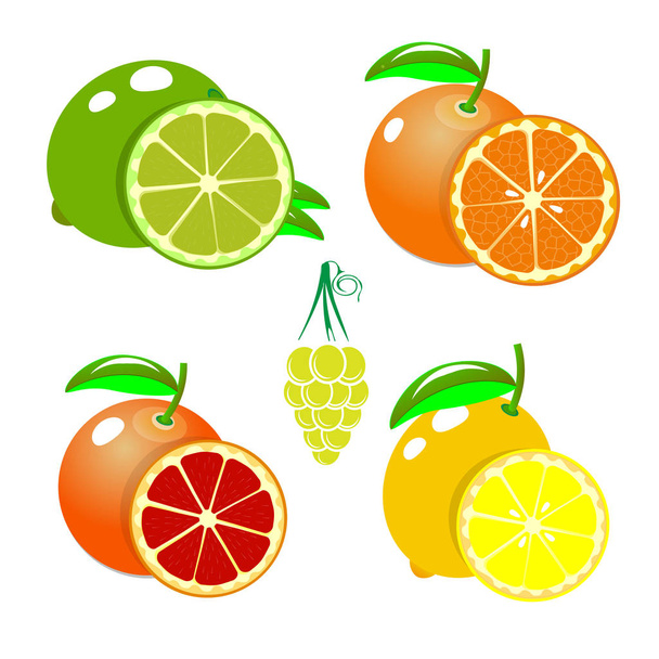 Set of fruits orange, lemon, lime, grapefruit,. Cartoon fruits clipart collection. Icons isolated on white background. Vector - Vektör, Görsel
