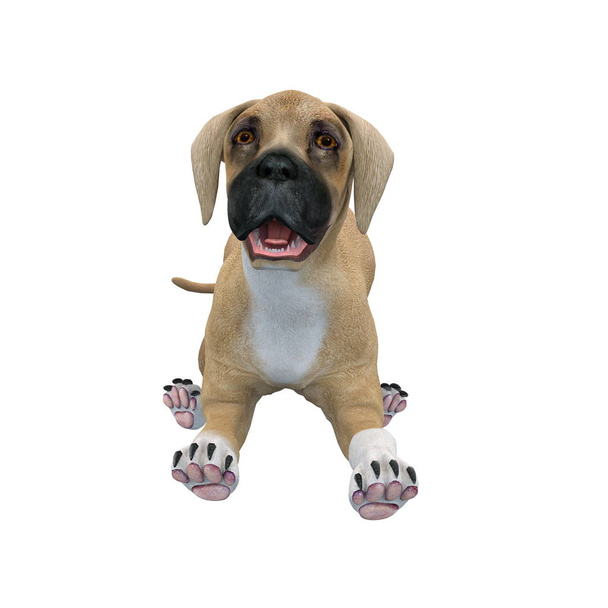 3D CG-рендеринг собаки
 - Фото, изображение