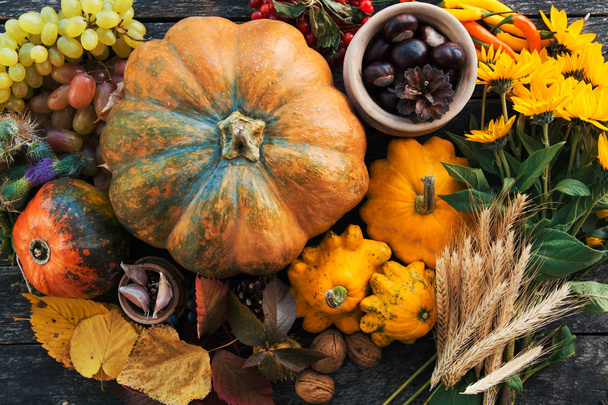 Thanksgiving day concept - traditional holiday food with pumpkins on old wooden. - Fotografie, Obrázek