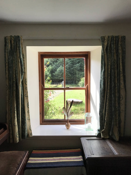 Zobrazení okna chalupy lesa v Inverness, Skotsko, Velká král - Fotografie, Obrázek