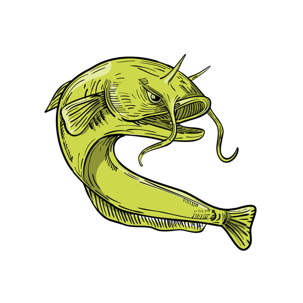 Şeytan yayın balığı çizim atlama - Vektör, Görsel