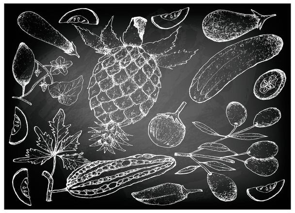 Hand Drawn of Gourd and Squash Fruits - Vector, Image