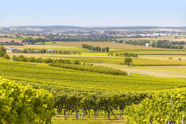 Weinbaulandschaft in hohenlohe - Foto, Bild