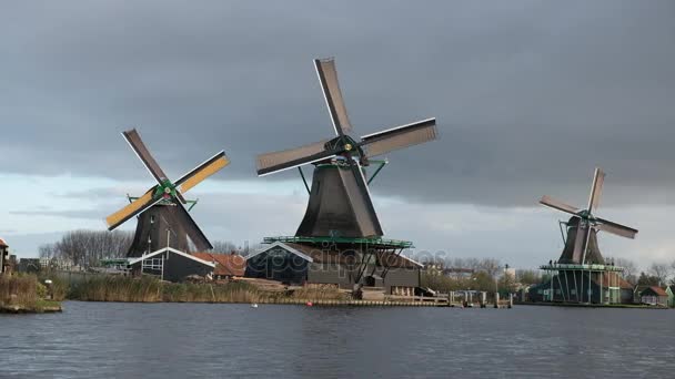 Piękne zabytkowe wiatraki w Zaanse Schans, Holandia - Materiał filmowy, wideo