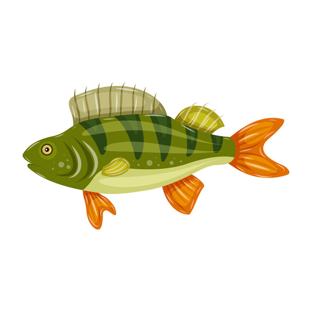 Freshwater flat icon colorful perch fish isolated on white background. Marine fresh food logo - Διάνυσμα, εικόνα