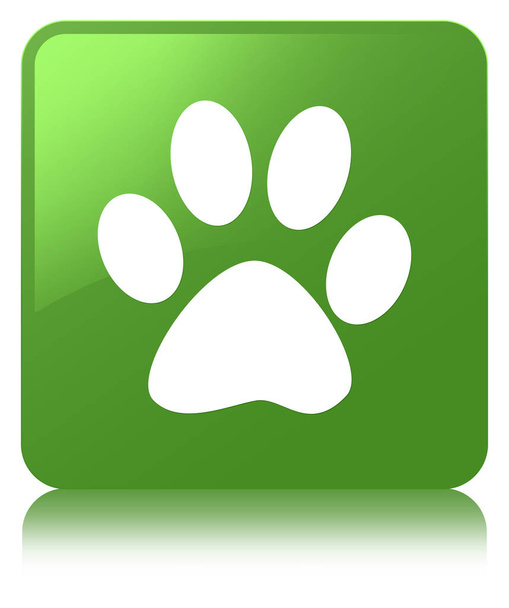 Animal Footprint Symbol weicher grüner quadratischer Knopf - Foto, Bild