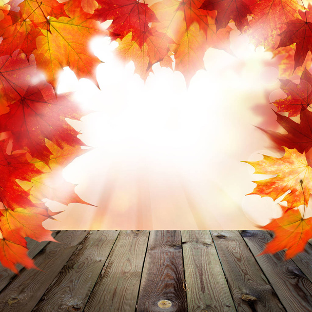 Herbst Hintergrund mit roten Herbst-Ahornblättern  - Foto, Bild