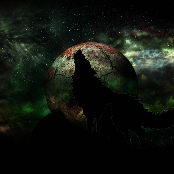 Lobo y Luna Llena
 - Foto, imagen