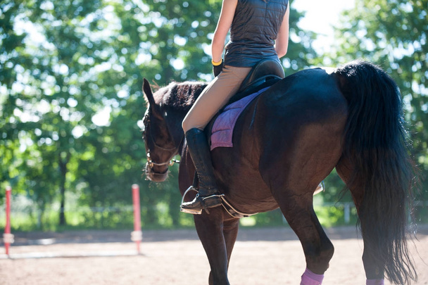 Νεαρη κυρία Καβάλα σε άλογο ιππασίας στη Σχολή. Διαδικασία κατάρτισης - Φωτογραφία, εικόνα