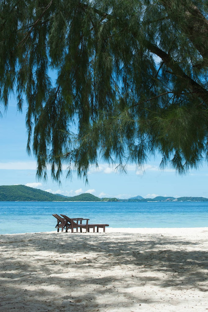 Два лежака на пляже. Ветви хвойного дерева на переднем плане
 - Фото, изображение