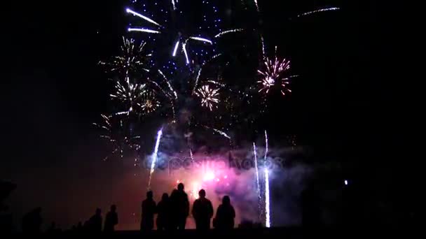 Grupo de amigos desfrutando show fogos de artifício
 - Filmagem, Vídeo