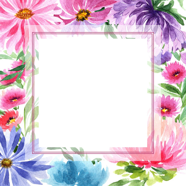 Wildflower aster květinový rámeček ve stylu akvarelu. - Fotografie, Obrázek