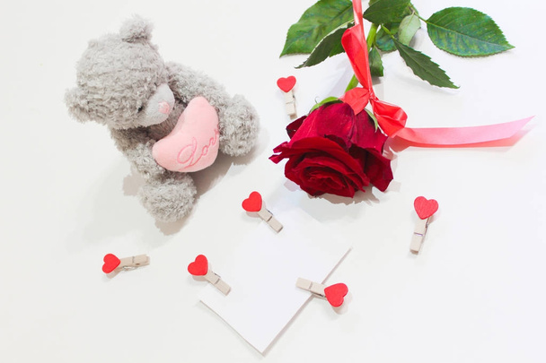  Orso, valentino e rosa su fondo bianco
 - Foto, immagini