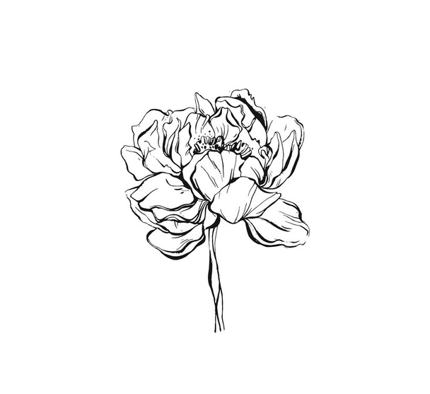 Hecho a mano vector abstracto tinta gráfica peonía o rosa flor cabeza aislada sobre fondo blanco. Esquema de elementos de diseño para la boda boho, cumpleaños, guardar la tarjeta de fecha
 - Vector, imagen
