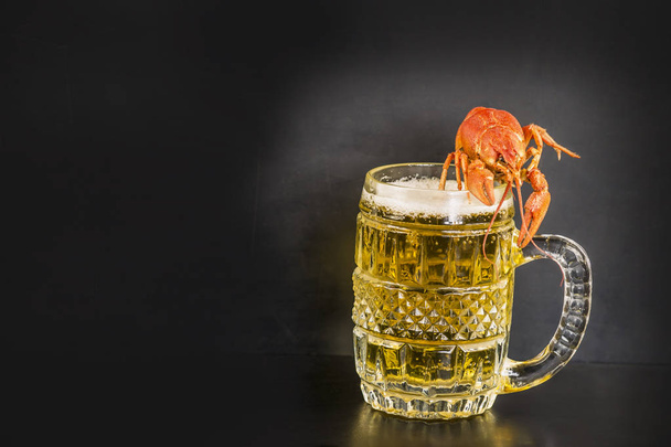 boiled lobsters and beer  - Фото, изображение