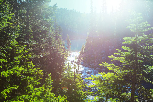Randonnée dans les eaux turquoise du pittoresque lac Garibaldi
 - Photo, image