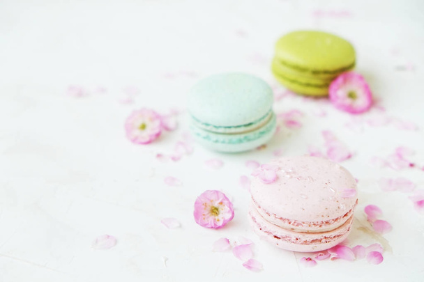 Macaron or macaroon french coockie on white textured background with spring lila flowers, pastel colors.  - Φωτογραφία, εικόνα