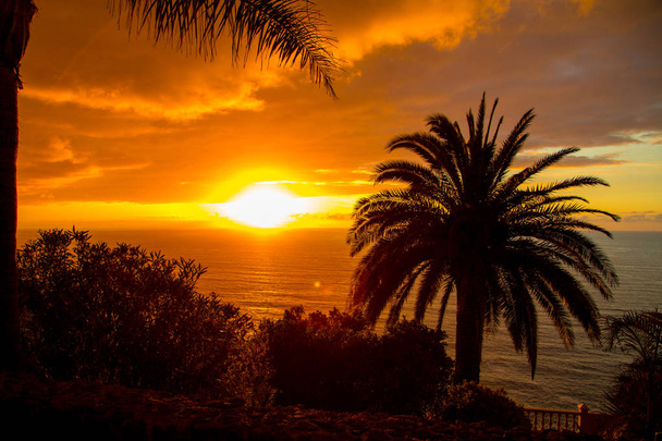 sunset view by the Atlantic ocean on Canary island - 写真・画像