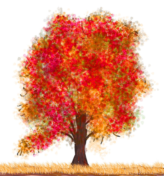 podzimní listové strom - Fotografie, Obrázek