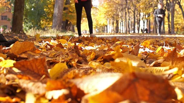 Žena se sportovní postavou procházky podél spadané listí javor. - Záběry, video