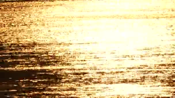 Bokeh couleur orange dans la rivière, lever du soleil sur le lac, lever du soleil sur la rivière
, - Séquence, vidéo