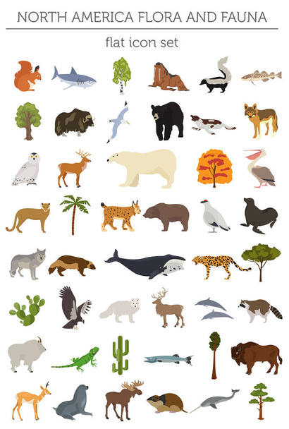 América del Norte flora y fauna elementos planos. Animales, aves y
  - Vector, Imagen