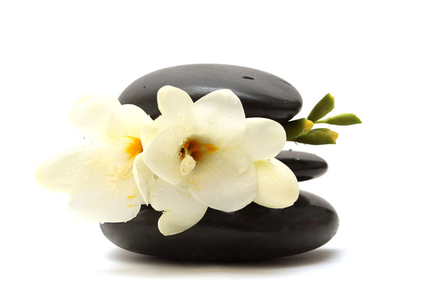 Pedras pretas e flor branca
 - Foto, Imagem