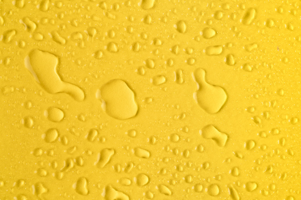 Water drops - Fotografie, Obrázek